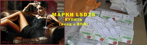мдпв Кукмор