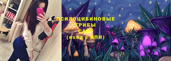 мдпв Кукмор